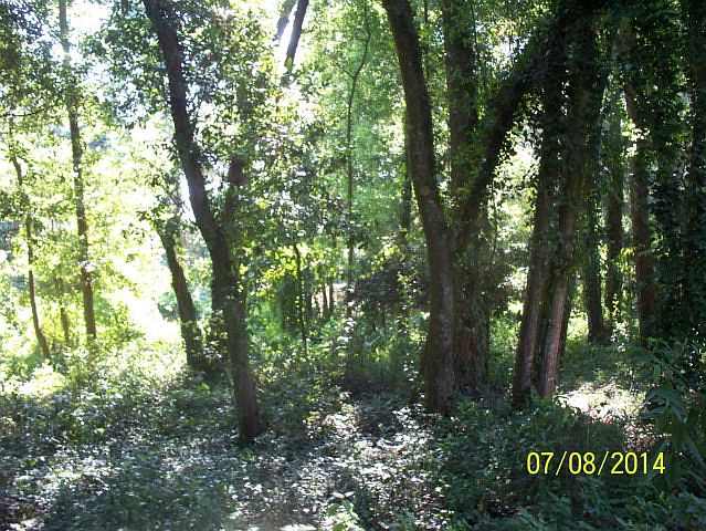 2nd image of 506 Longview Rd