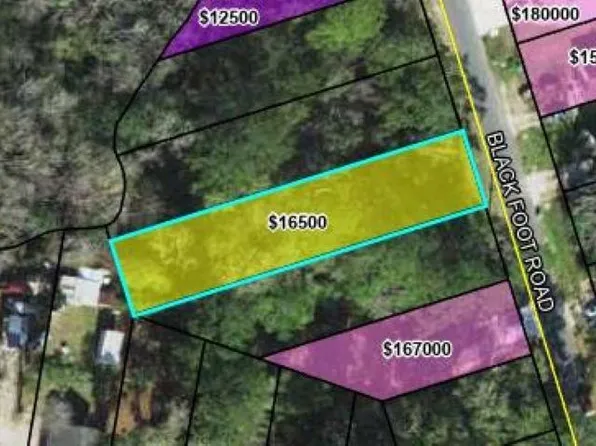 Blackfoot Rd, Crawfordville, FL 32327