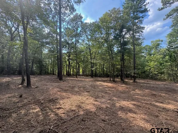 20381 Fm 16 E, Winona, TX 75792