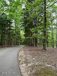 29th image of this home