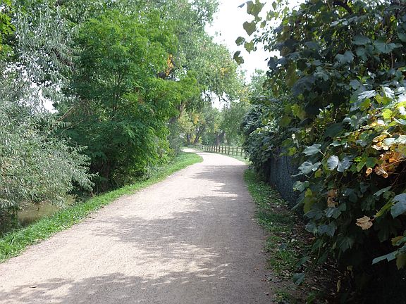 Great walking/biking paths