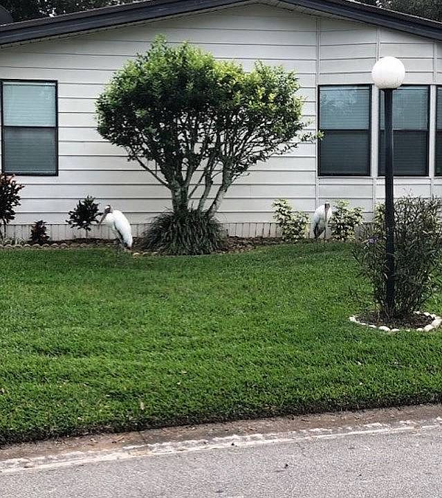 1st image of 66 Tropical Falls Dr