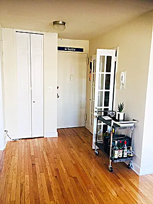 Rented by Manhattan Flats | media 14