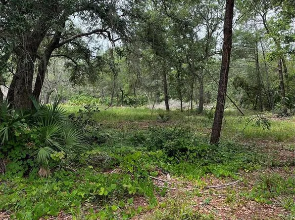 E Saffron Ct Lot 3, Eustis, FL 32736