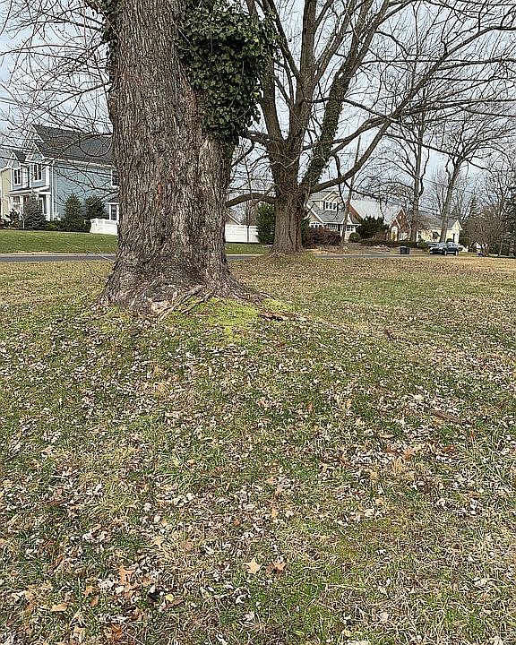 1st image of 101 Florence Ave