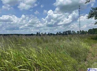 1335 Ruby Rd, Hartsville, SC 29550