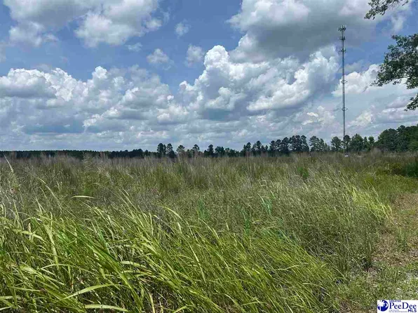 1335 Ruby Rd, Hartsville, SC 29550