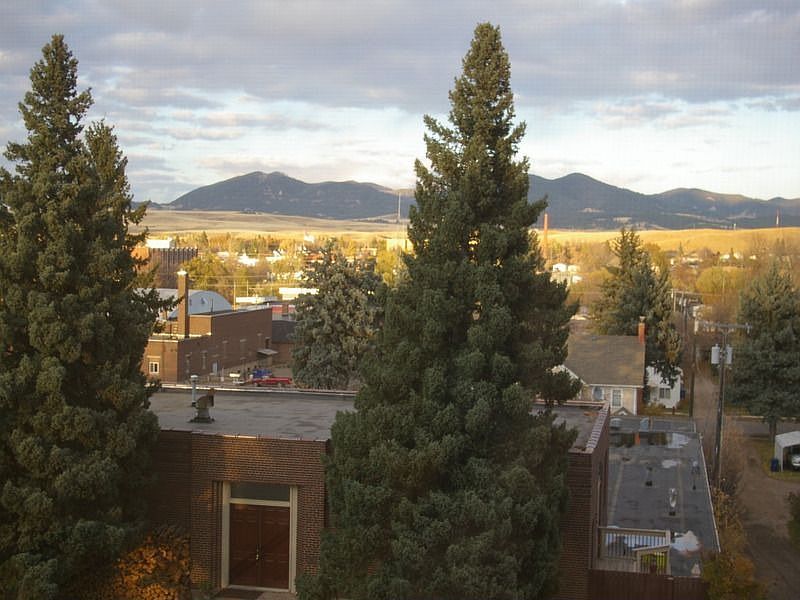 View from Living Room Window