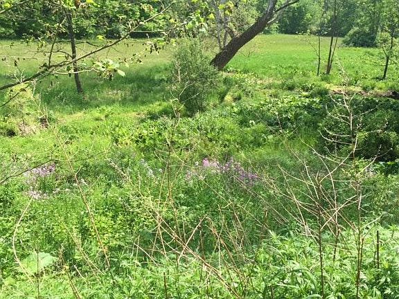 Situated on five acres