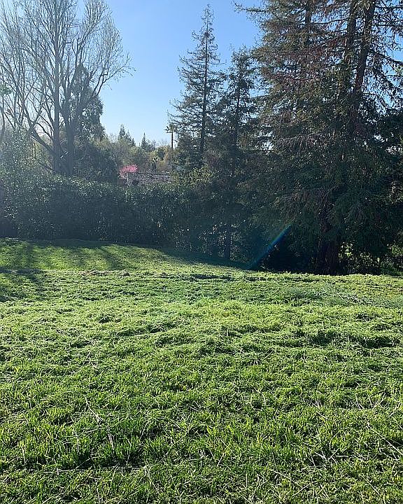 Back yard view