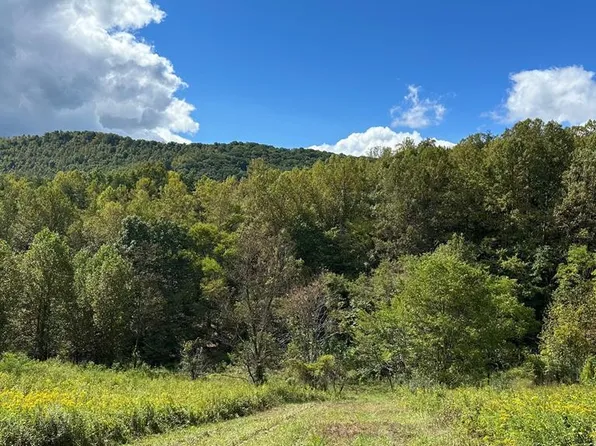 11563 Woolwine Hwy, Woolwine, VA 24185
