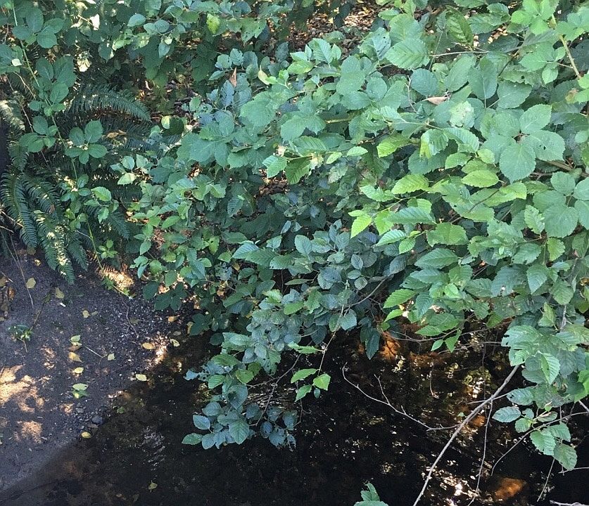 2nd image of 0 Jensen Rd