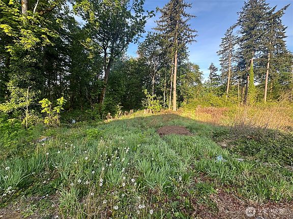 3rd image of 35421 55th (Lot 19 & 20) Avenue S