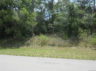 8295 N Primrose Dr, Citrus Springs, FL 34434