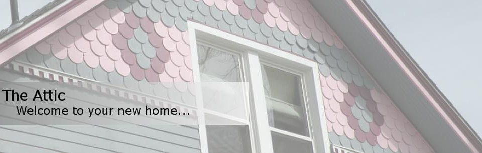 Large South Facing Windows