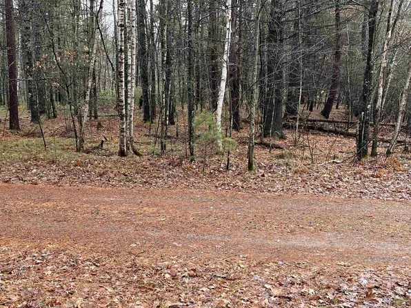 Lot 25 IMPERIAL DRIVE, Saint Germain, WI 54558