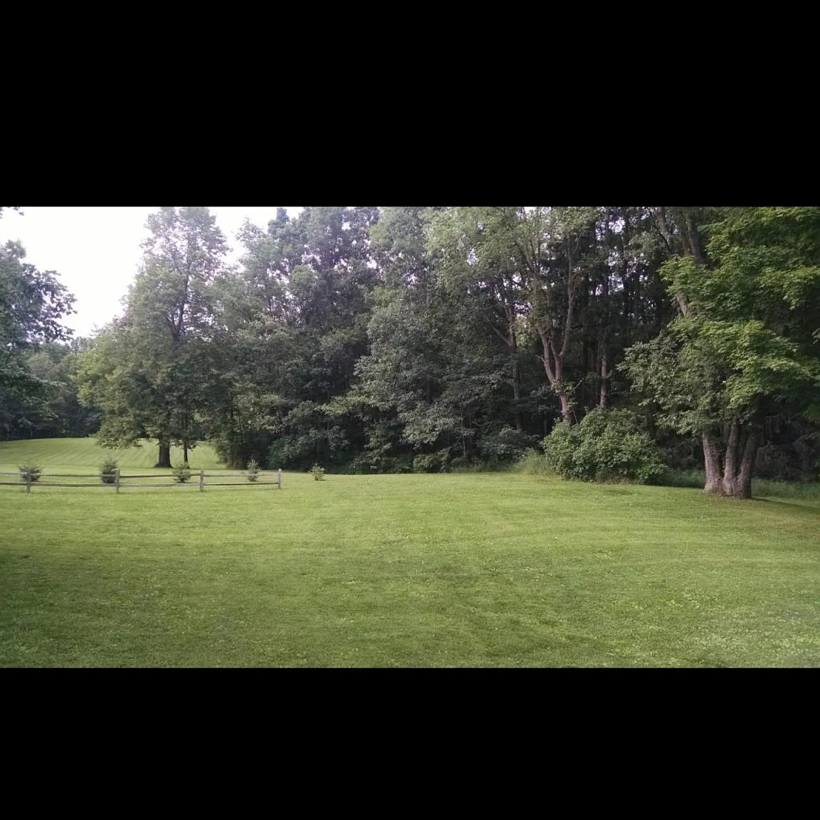 3 bed, 1100 sqft, $1,850 — Photo 4