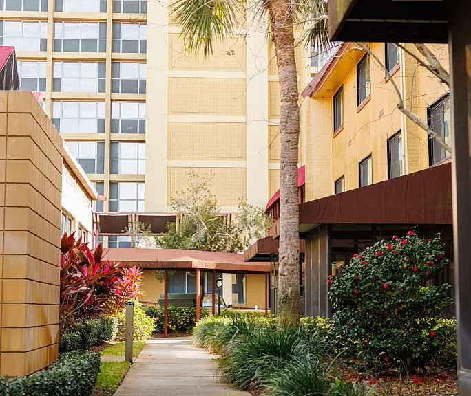 Blue Palms at Fletcher — Photo 14