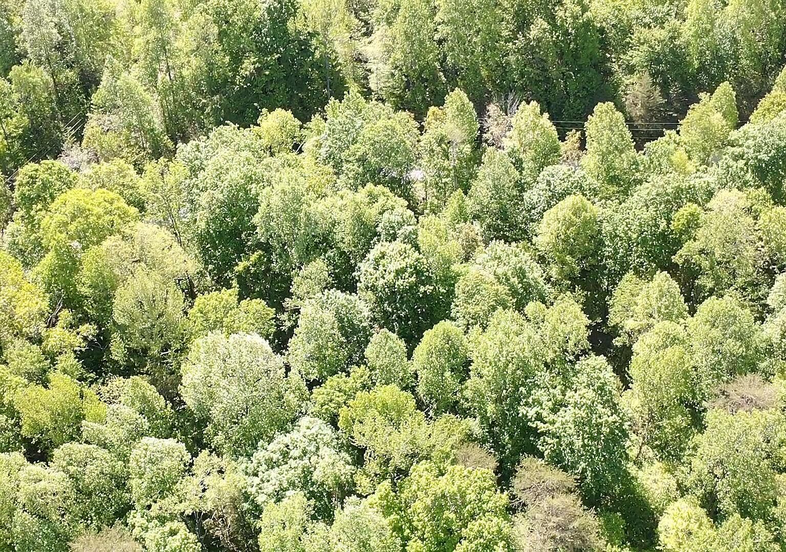 Milky Way Rd 55, Alpine, TN 38543 MLS 1226001 Zillow