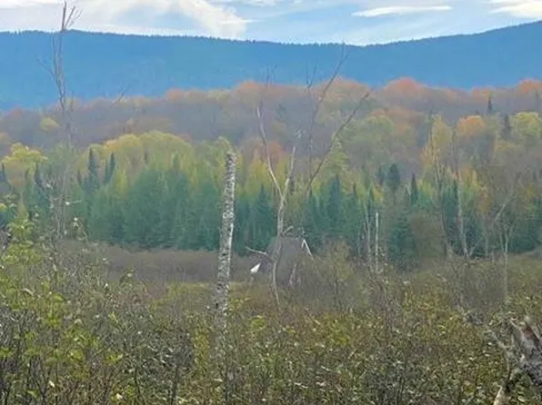 74 Hemlock Way, Bloomingdale, NY 12913