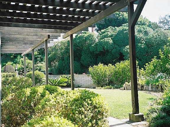 back yard ( Fransisco Fun )