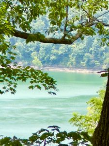 478 Eagles Bluff Rd, Monticello, KY, 42633