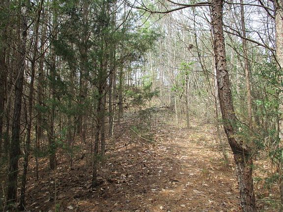 5th image of 809 Mountain Leaf Dr