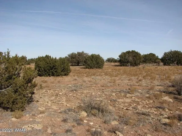 Sec 11 T14n R16e #Se4-ne4-nw4, Heber, AZ 85928