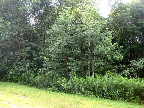 4th image of Carolwood Rd