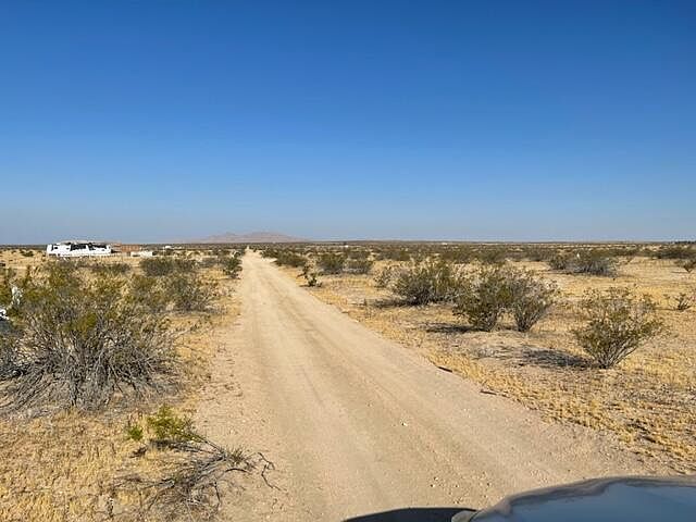 1st image of Avenue K