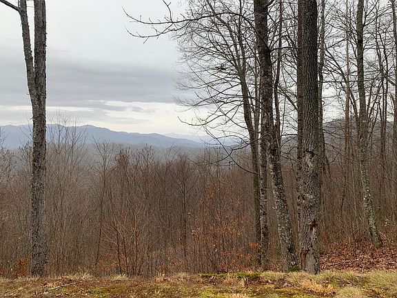 5th image of 0 Wild Turkey Trl