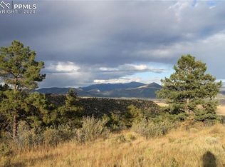 518 Cheyenne Rd, Florissant, CO 80816