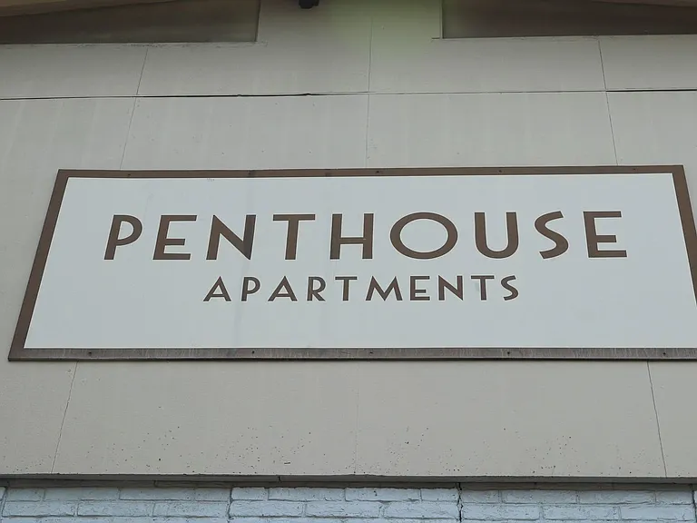Penthouse — Photo 47
