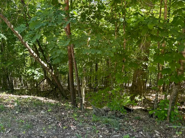 LOT 63 Stoney Rock Ln, Jacksboro, TN 37757