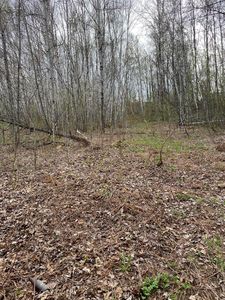 Lot 123A Harvey Street, Caribou, ME, 04736