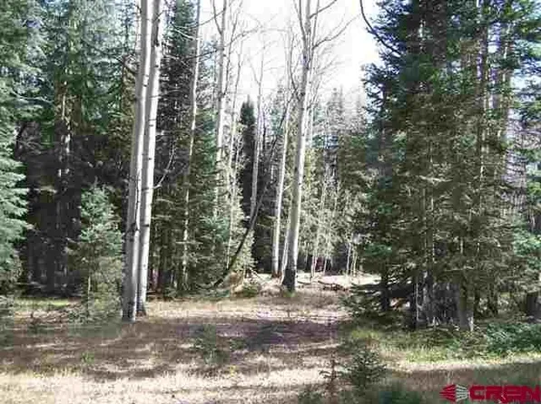 355 Wildflower Drive, Cimarron, CO 81220
