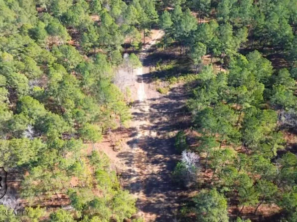 0 L R White Road, Plum Branch, SC 29845