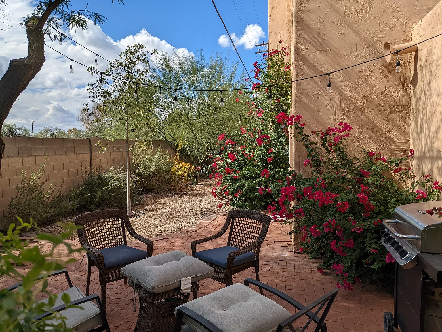4356 N Rillito Creek Pl — Photo 2