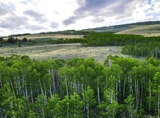 5 Co Rd, Fairplay, CO 80440