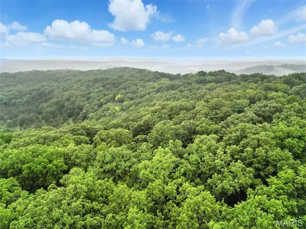 1422 Emily Ln, Festus, MO 63028