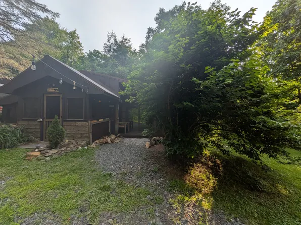 814 Heaton Creek Rd, Roan Mountain, TN 37687