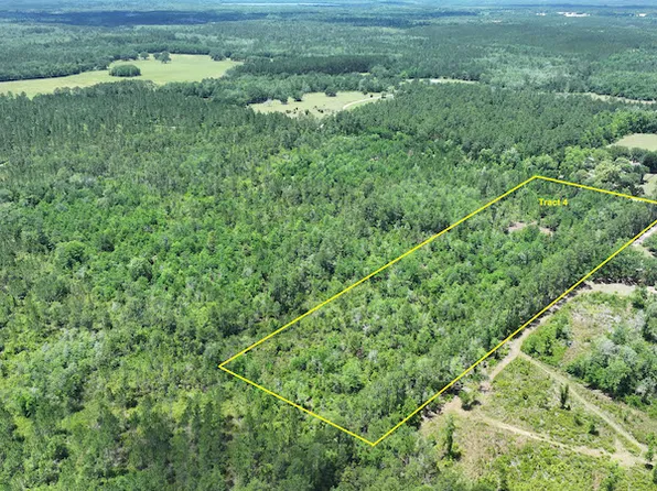 Xx Haskin Rd Lot Wp004, Vernon, FL 32462