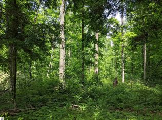 0 Cunningham Rd #F, Mancelona, MI 49659