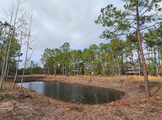 17525 Hodges Rd, Hilliard, FL 32046