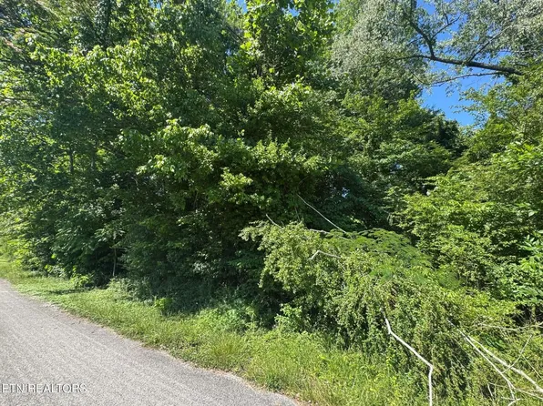 164 Jodys Ln, Rockwood, TN 37854