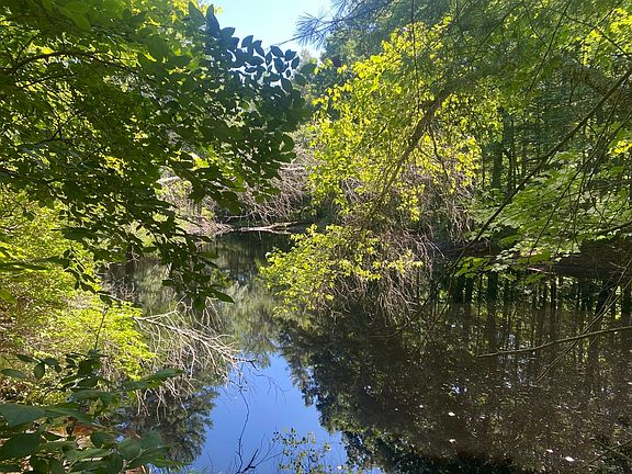 2nd image of LOT 19 Bernard Whitney Rd