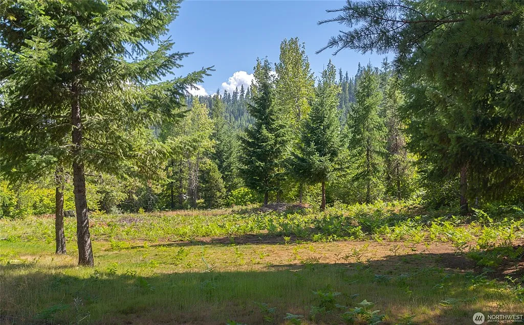 1 bed, 200 sqft, $995 — Photo 3