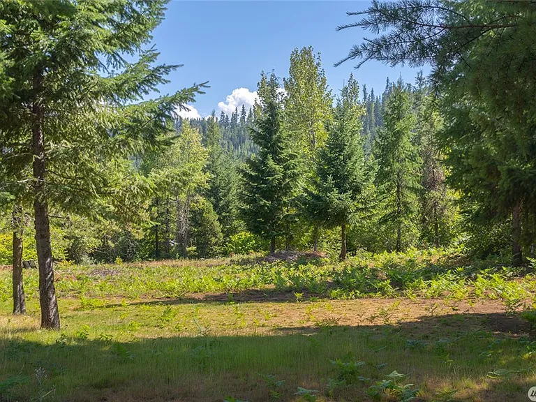10469 Tumble Creek Dr — Photo 3