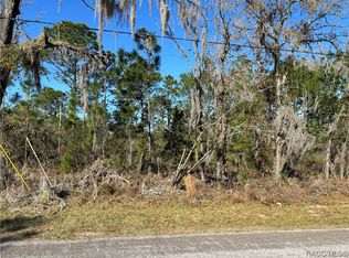 7658 N Voyager Dr, Citrus Springs, FL 34433