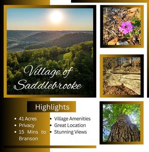 Tract 1 Greenwood Road, Chestnutridge, MO, 65630